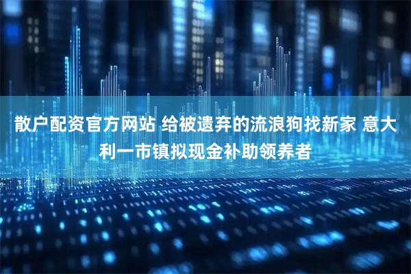 散户配资官方网站 给被遗弃的流浪狗找新家 意大利一市镇拟现金补助领养者