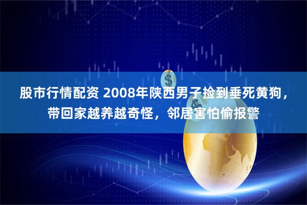 股市行情配资 2008年陕西男子捡到垂死黄狗，带回家越养越奇怪，邻居害怕偷报警